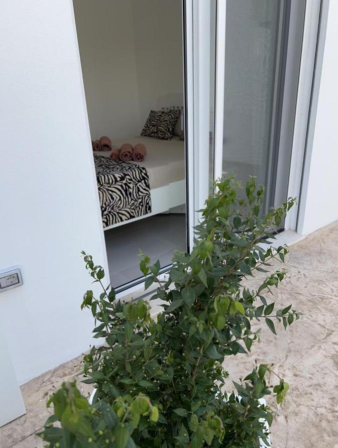 Windsurf Beach Front Torre Grande Dış mekan fotoğraf
