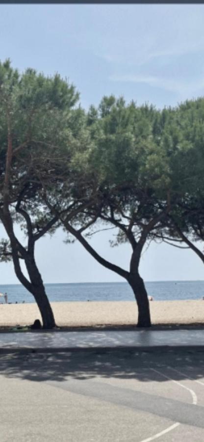 Windsurf Beach Front Torre Grande Dış mekan fotoğraf