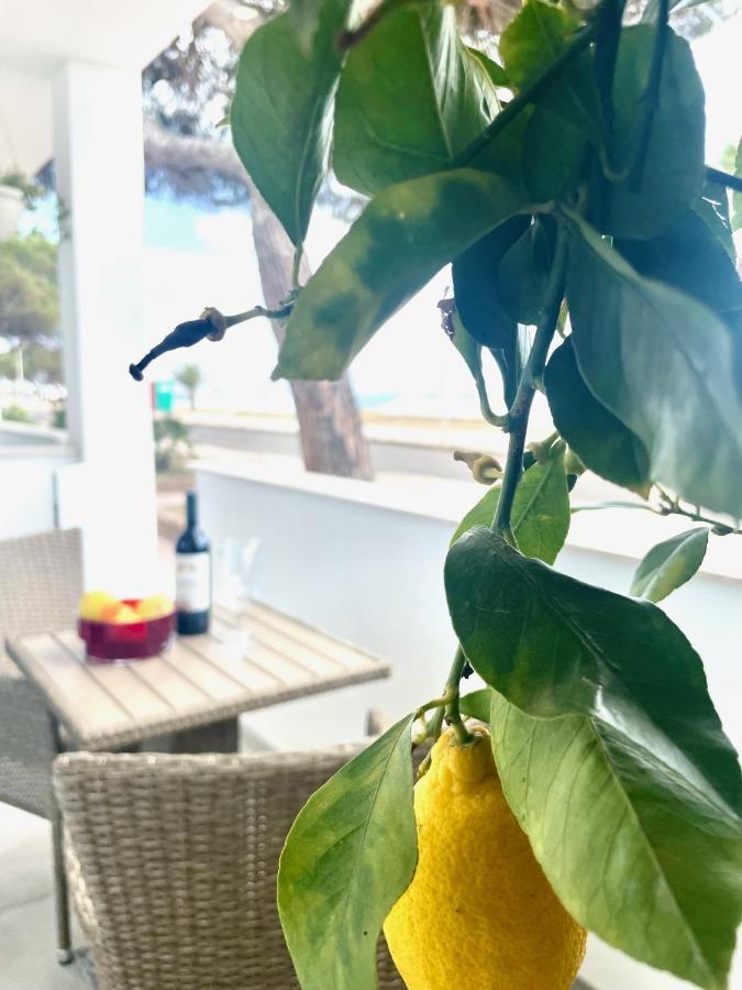 Windsurf Beach Front Torre Grande Dış mekan fotoğraf